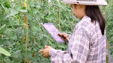亚洲园丁妇女在<strong>农田</strong>里摆姿势，微笑着对着镜头。 农业和种植理念..